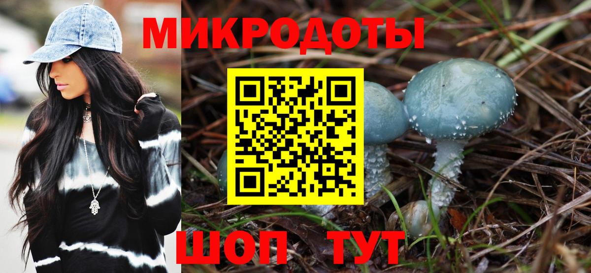 Псилоцибиновые грибы Cubensis Ейск
